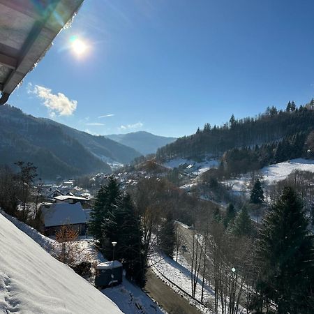 Bollenlodge - Ferienwohnung Mit Ausblick Und Top Lage Todtnau Eksteriør billede