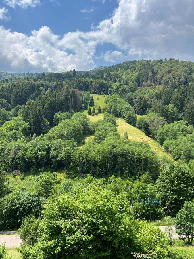 Bollenlodge - Ferienwohnung Mit Ausblick Und Top Lage Todtnau Eksteriør billede