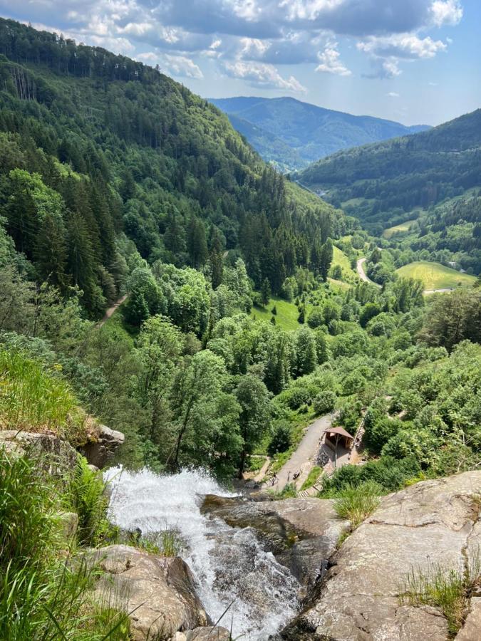 Bollenlodge - Ferienwohnung Mit Ausblick Und Top Lage Todtnau Eksteriør billede