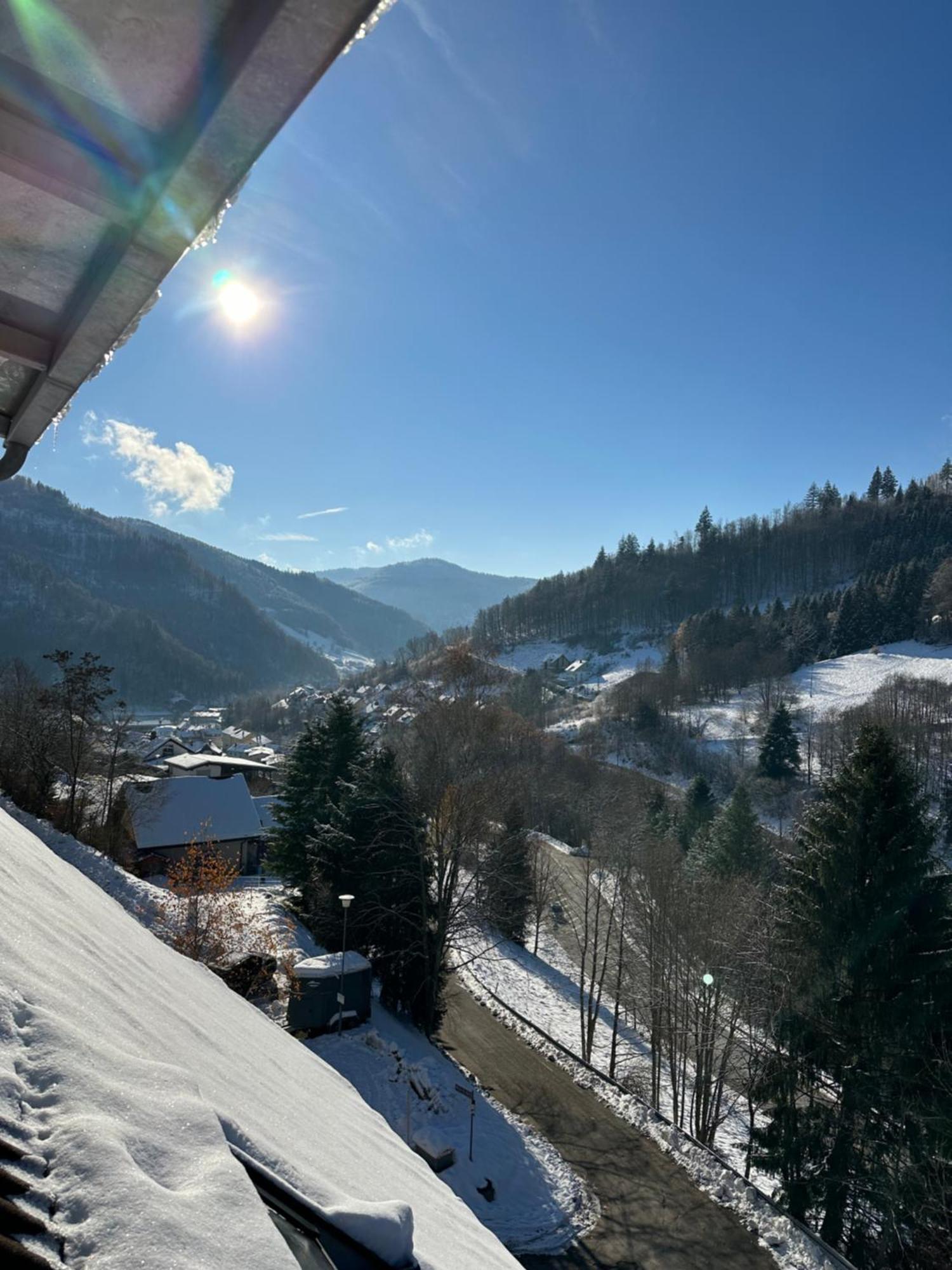 Bollenlodge - Ferienwohnung Mit Ausblick Und Top Lage Todtnau Eksteriør billede